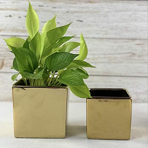 WGV Ceramic Cube Vase Bulk Width 5.5" Height 5" (Fits 5" Pot) Elegant Modern Block Square Floral Planter Terrarium Container Table Dresser for Event Accent Home Office Decor Gold 6 Pieces - Image 6