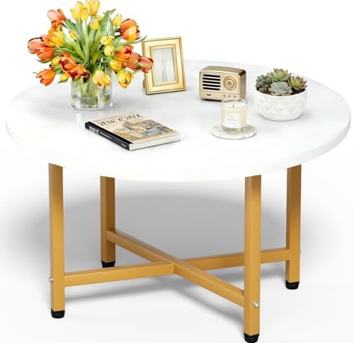 Round Coffee Table, Small Coffee Tables for Living Room, Gold Coffee Table by FAMIDGE