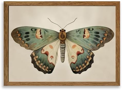 AVECCO Vintage Green Butterfly Decor Framed Wall Art Canvas 16x24 inch by Unknown