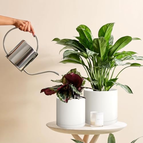 Giraffe Creation Cylinder Plant Pots 12/10/8 Inch Set of 3, Modern Round Planters with Drainage Holes and Saucers, Durable Plastic Flower Pots, White - Image 6