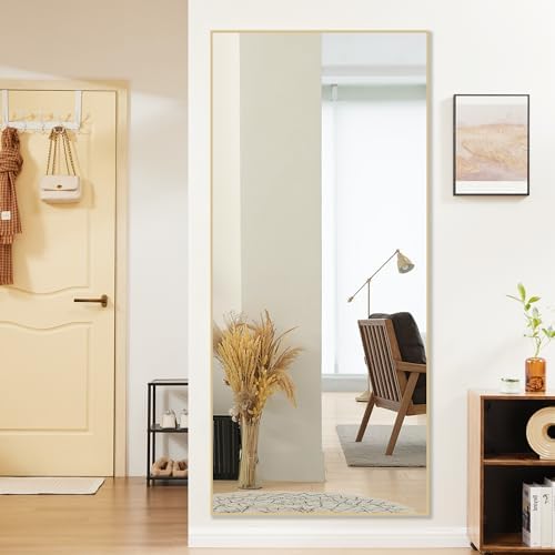 OLIXIS 64"x21.5" Full Length Mirror with Stand, Body Mirror by OLIXIS