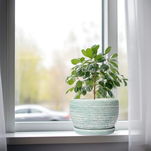SQOWL Ceramic Planters for Indoor Plants - 8 inch Plant Pot Outdoor, Ceramic Flower Pot with Drainage Hole and Saucer, Round Modern Planter, Living Room Apartment Decor, Birthday Gifts, Green - Image 4