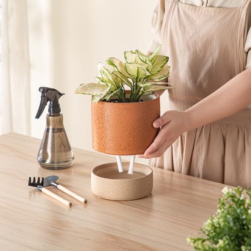6 Inch Ceramic Self Watering Planter with Drainage Hole Terracotta - Image 5