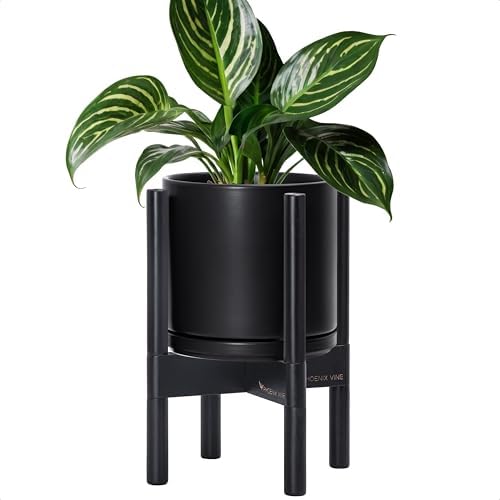 D'vine Dev Ceramic Pot with Ebony Wood Stand, Black, 8 in, 55-B-M-2 by DvineDevPlanterPotsandStand