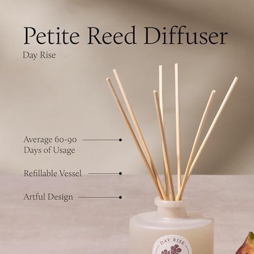 Thymes Petite Oil Reed Diffuser Set – Includes Reeds, Fragrance Oil & Glass Bottle – Luxury Scent Diffusers for Home Decor – Notes of Mediterranean Fig, Green Apple & Driftwood (Day Rise, 4 fl oz) - Image 4
