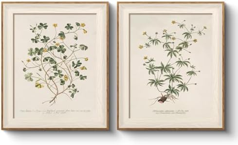 VIYYIEA Framed Minimalist Botanical Leaf Botanical Wall Art Set, 10×12 Inch by VIYYIEAART