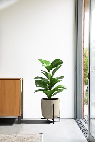 Veradek Mason Series Raised Lima Planter - Round Planter with Stand - Image 4