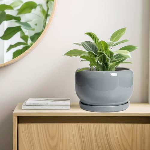 SQOWL 10 Inch Plant Pot - Ceramic Planter for Indoor Plants, Round Ceramic Flower Pot with Drainage Hole and Saucer, Modern Large Outdoor Planter, Room Decor, Housewarming Gifts, Gray - Image 7