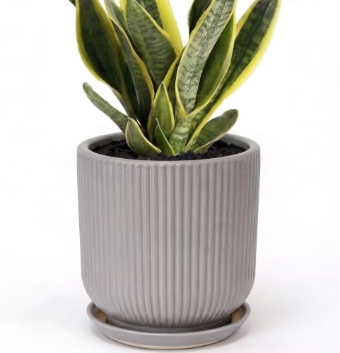 Deep Dream 6 Inch Ceramic Pots for Plants, Heavy Plant Pot for Indoor Outdoor Plants, Large Plant Pot with Drainage Hole and Saucer, Modern Tall Flower Pot, Gifts for Plant Lovers, Grey by DeepDream