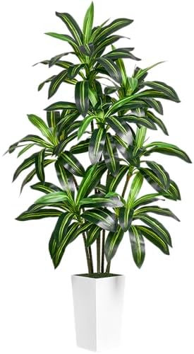 6FT Artificial Dracaena Tree with 15.7-inch White Planter, Fake Tree with Lifelike Leaves Indoor for Home Decor Office Living Room by Unknown
