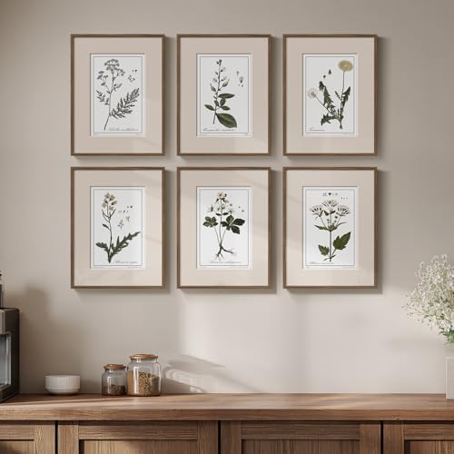 Framed Vintage Rustic Floral Neutral Botanical Wall Art, 6 Piece 11x14 In by Cuspin