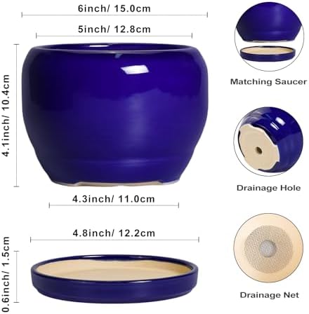 SQOWL Ceramic Planters for Indoor Plants - 6 Inch Plant Pot with Drainage Hole and Saucer, Round Small Planter, Modern Decorative Flower Pot Outdoor, Living Room Decor, Garden Gifts for Women, Blue - Image 3