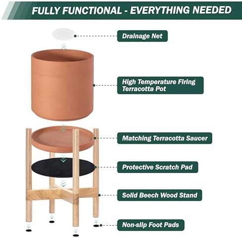 D'vine Dev Terracotta Pot with Natural Wood Stand, 10 in, 55-B-K-5 - Image 5