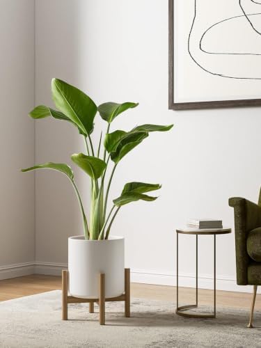 LE TAUCI 10+8+6 Inch Ceramic Pots for Plants, Indoor Planters with Drainage Hole and Plug, Modern Cylinder Flower Pots Set of 3 for Living Room and Bedroom, Satin, White - Image 6