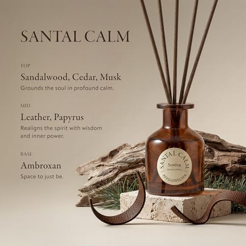 Soréva Hotel-Grade Reed Diffuser Set, Sandalwood Cedar Musk Scent, Plant-Based Oils, 120 Days Calm Home Fragrance for Bedroom Bathroom & Office, Gift Set with 7 Sticks, 4.39 fl oz - Image 3
