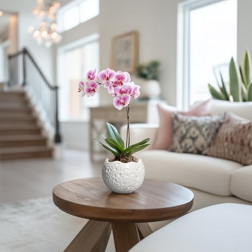4 Inch Plant Pots - Ceramic Pots for Plants with Drainage Hole, Small Planter for Indoor Outdoor, Unique Succulent Pot, Decorative Modern Round Planter, Desk Decor, Plant Lover Gifts, White - Image 3