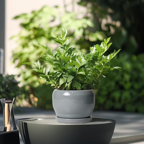 SQOWL 6 Inch Plant Pots - Ceramic Planter with Drainage Hole and Saucer, Round Ceramic Flower Pot Indoor Outdoor, Modern Succulent Planter, Bathroom Decor, Gifts for Plant Lovers, Grey - Image 4