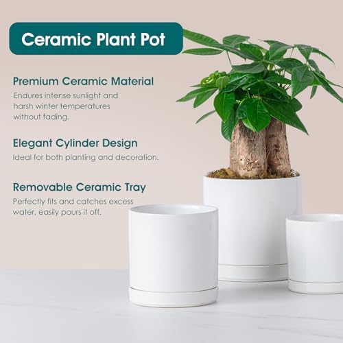 vancasso Ceramic Plant Pots, 3 Piece Planters for Indoor Plants, White - Image 4