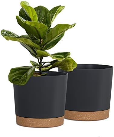 kubvici Plant Pots for Indoor Plants, 2 Pack 8 Inch Flower Pot (8” Black) by kubvici