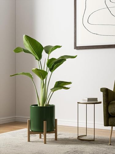 LE TAUCI 10+8+6 Inch Ceramic Pots for Plants, Indoor Planters with Drainage Hole and Plug, Modern Cylinder Flower Pots Set of 3 for Living Room and Kitchen, Glossy, Bamboo Green - Image 3