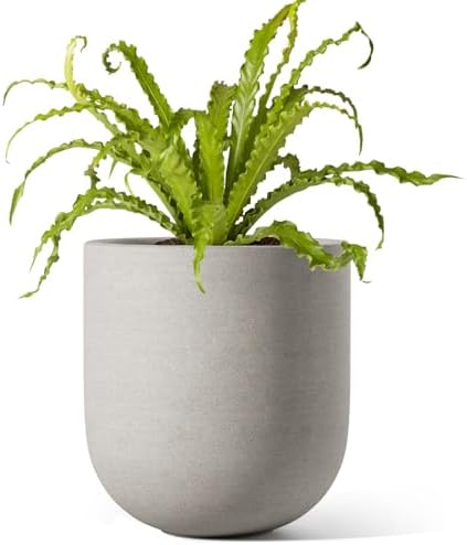 LE TAUCI 6 Inch Ceramic Plant Pot, Small Indoor Planter, Neutral Gray by LETAUCI