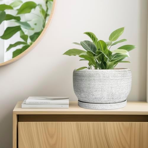 SQOWL Ceramic Flower Pots - 10 Inch Plant Pot Indoor with Drainage Hole and Saucer, Modern Ceramic Planter Outdoor, Decorative Large Round Planter, Bedroom Decor, Plant Lovers Gifts, Gray - Image 7