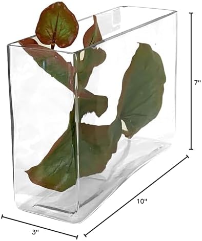 WGV Long Rectangle Block Vase, Width 3", Length 10", Height 7", Clear Glass Floral Container Wedding Party Event Home Office Decor, 1 Piece - Image 6