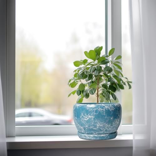 SQOWL Ceramic Pots for Plants - 8 Inch Ceramic Planter for Indoor Outdoor, Decorative Flower Pot with Drainage Hole and Saucer, Round Planter, Home Living Room Bathroom Decor, Plant Lover Gifts, Blue - Image 4