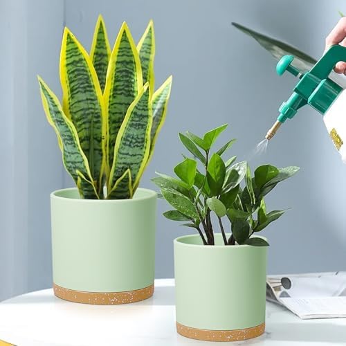 Meowell 8/7/6 inch Plant Pots, 3 Pack Cylinder Flower Pots for Outdoor Indoor Plants, Decorative Plastic Planters with Drainage Holes and Saucers for Garden House Plants, Green with Brown - Image 5