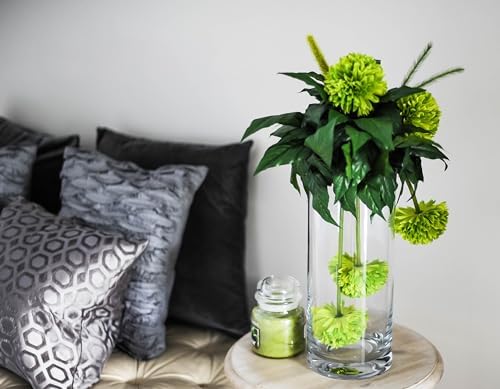 WGVI Quality Thick Weighted Clear Cylinder Glass Vases, 4" W x 6" H, Flower Arrangement Glass Candle Holders Wedding Centerpieces Terrarium Planter Pen Brush Storage Container, Bulk Wholesale, 6 Pcs - Image 5