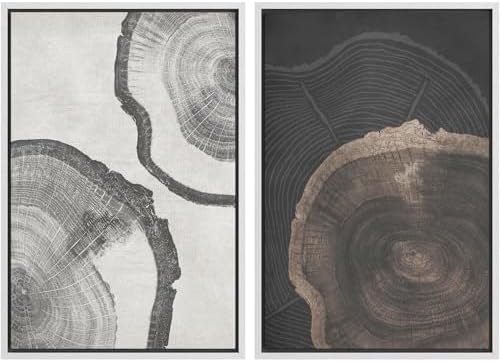 SIGNWIN Framed Canvas Print Wall Art Wood Tree Rings Abstract Illustrations Minimalist Modern Wall Art Neutral Boho Decor for Living Room, Bedroom, Office - 24"" x36 x2 White by SIGNWIN