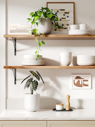LE TAUCI 6 Inch Ceramic Plant Pot, Small Indoor Planter, White - Image 2