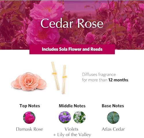 AGRARIA AirEssence Flower and Reed Diffuser Set, Handmade Sola Flower Botanical Home Fragrance Set, Scented Oil Reed Diffuser Gift for All Occasions - Image 3