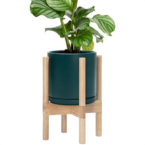 D'vine Dev Ceramic Pot with Natural Wood Stand, Teal, 8 in, 55-B-N-4 by DvineDevPlanterPotsandStand