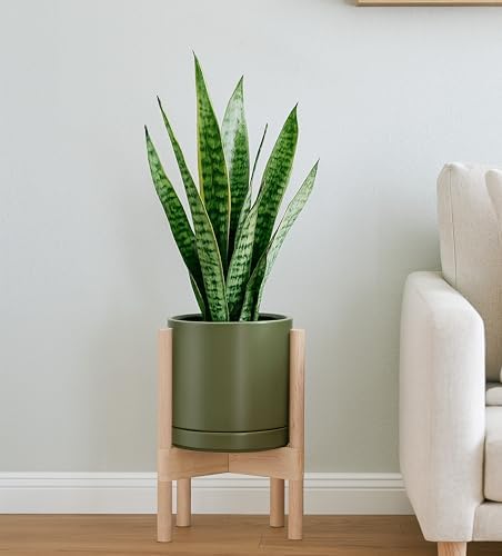D'vine Dev Ceramic Pot with Natural Wood Stand, Olive, 8 in, 55-B-N-J - Image 2