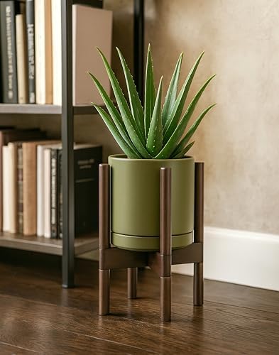 D'vine Dev Ceramic Pot with Walnut Wood Stand, Olive, 8 in, 55-B-Y-J - Image 4