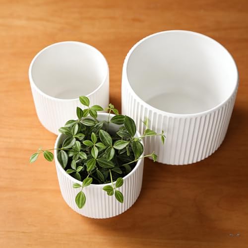Oakrain Plant Pots Set of 3 with Vertical Stripes 7.8/6.5/5.2 inch, Modern Decorative Planters for Indoor Outdoor Plants, Garden Flower Pot with Drainage Holes, Ceramic White - Image 7