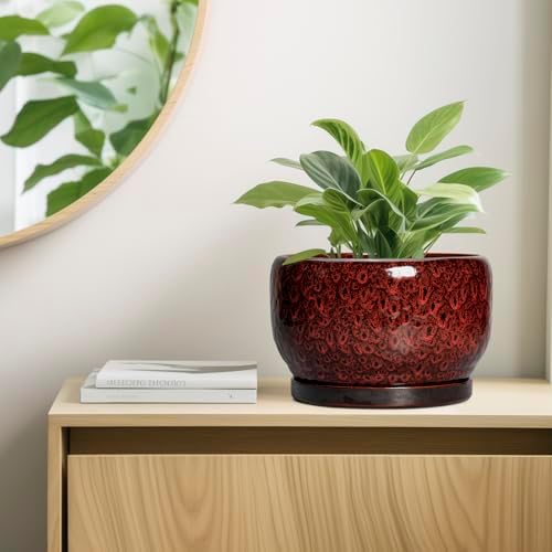 SQOWL Ceramic Flower Pots - 10 Inch Plant Pot Indoor, Ceramic Planter with Drainage Hole and Saucer, Round Decorative Large Planter Outdoor, Home Decor Living Room, Gifts for Plant Lovers, Red - Image 7
