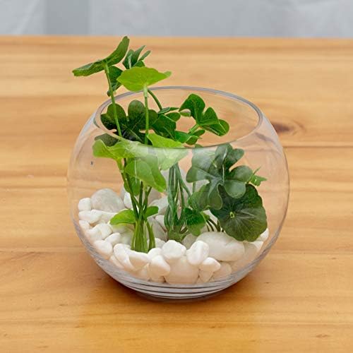 WGV Bowl Glass Vase Bulk, Diameter 8", Height 6", Open Width 5", (Multiple Sizes Choices) Clear Bubble Planter Terrarium Fish Bowl for Wedding Event Home Decor, 6 Pieces (VBW0008A) - Image 5