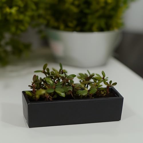 WGVI Long Rectangle Ceramic Planter Vase in Black 14" x 4" x 4"H, Rectangular Box Block Terrarium Pot, Flower Arrangement, Tabletop Centerpiece, Home Decor Organization Storage Container, 1 Pc. - Image 5