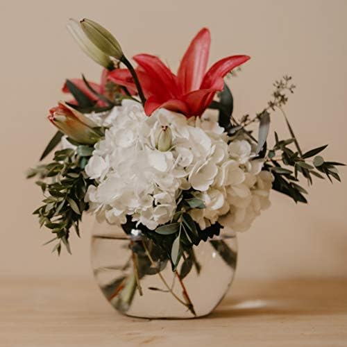 WGVI Bowl Glass Vase, Diameter 8", Height 6", Open Width 5", (Multiple Sizes Choices) Clear Bubble Planter Terrarium Fish Bowl for Wedding Event Home Decor, 1 Piece (VBW0008A) - Image 4