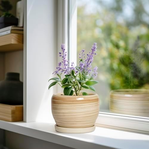 SQOWL Ceramic Pot for Plants - 6 Inch Indoor Planter with Drainage Hole and Tray, Round Modern Flower Pot Outdoor, Decorative Succulent Planter, Kitchen Decor, Gifts for Plant Lovers, Yellow - Image 3