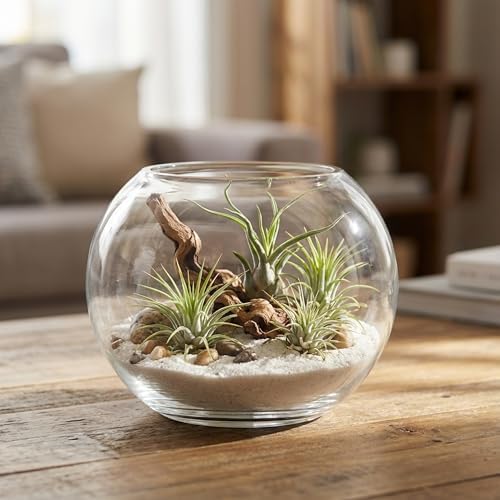 WGV Bowl Glass Vase, Diameter 5.1", Height 3.75", Open Width 3", (Multiple Sizes Choices) Clear Bubble Planter Terrarium Fish Bowl for Wedding Event Home Decor, 1 Piece (VBW0005) - Image 7