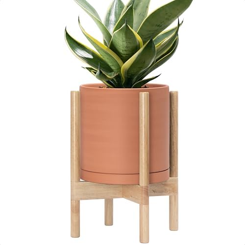 D'vine Dev Terracotta Pot with Natural Wood Stand, 10 in, 55-B-K-5 by DvineDevPlanterPotsandStand