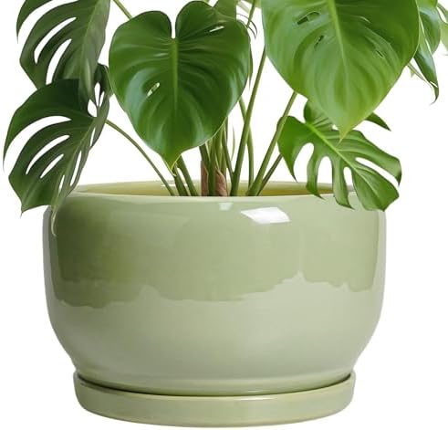 SQOWL Ceramic Planter - 10 Inch Pot for Plants Indoor Outdoor, Round Modern Flower Pot with Drainage Hole and Saucer, Decorative Large Planter, Office Decor, Plant Lovers Gifts, Green by SQOWL