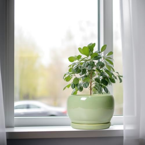 SQOWL 8 Inch Plant Pot - Ceramic Planters with Drainage Hole and Tray, Round Flower Pot for Indoor Plants, Modern Decorative Planters Outdoor, Garden Decor, Housewarming Gifts, Green - Image 4
