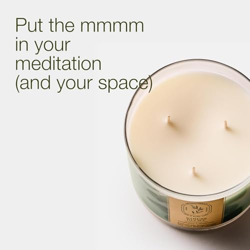 Bath & Body Works 3-Wick Candle, Eucalyptus Spearmint, Soy Wax Blend - Image 2