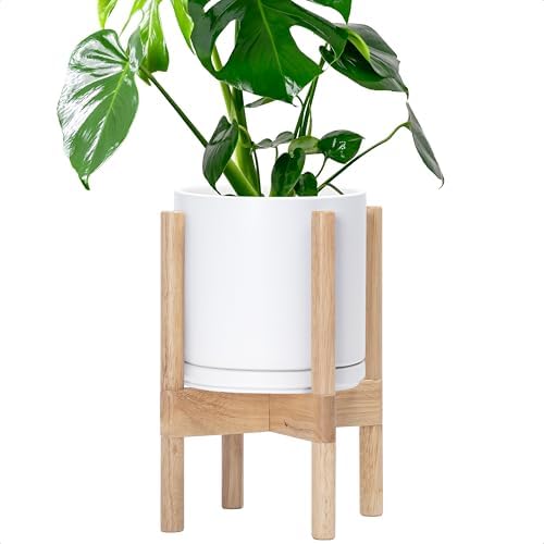 D'vine Dev Ceramic Pot with Natural Wood Stand, White, 8 in, 55-B-N-1 by DvineDevPlanterPotsandStand