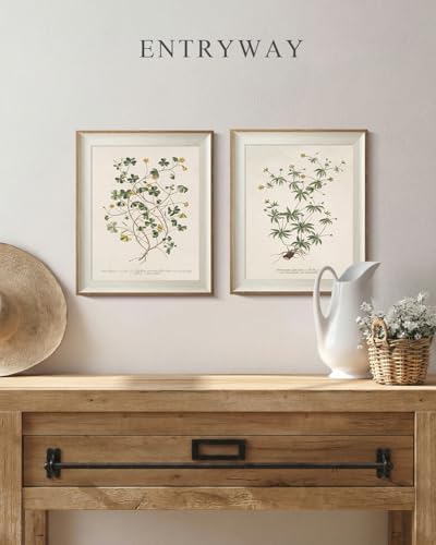 VIYYIEA Framed Minimalist Botanical Leaf Botanical Wall Art Set, 10×12 Inch - Image 3