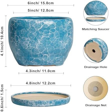 SQOWL 6 Inch Plant Pot - Ceramic Indoor Planter with Drainage Hole and Saucer, Decorative Ceramic Flower Pot Outdoor, Round Succulent Planter, Home Office Room Decor, Gifts for Plant Lovers, Blue - Image 3